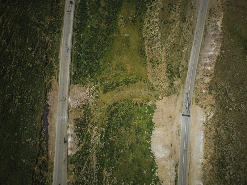 森の中を通る2本の道路を、真上から写した写真