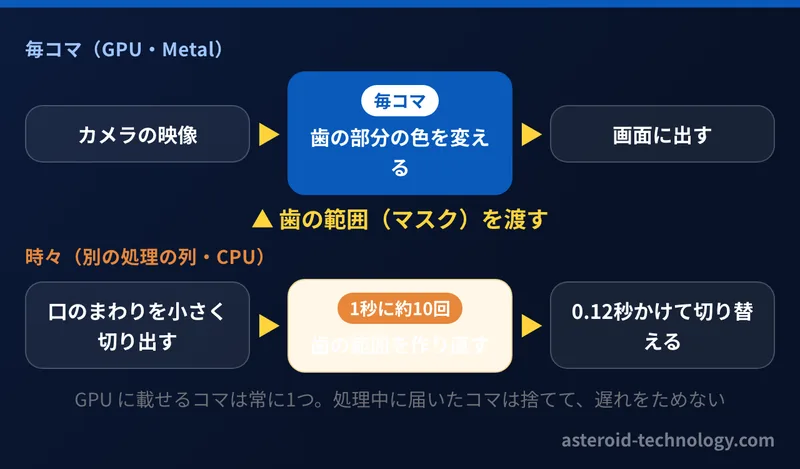 ライブ表示の処理の分け方の図。色の変換は GPU で毎コマ、歯の範囲づくりは別の処理の列で1秒に約10回行い、0.12秒かけて切り替える