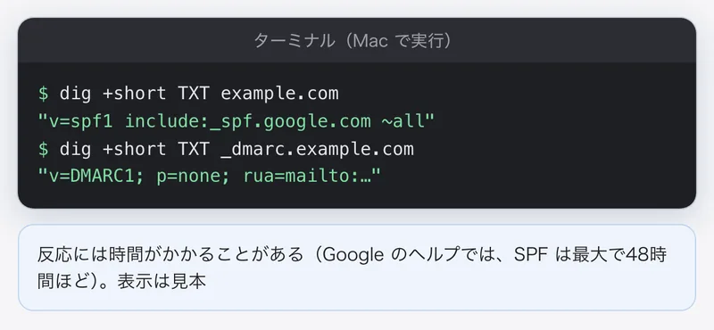 ターミナルの再現。dig で SPF と DMARC の記録が DNS に入っていることを確かめている。表示は見本
